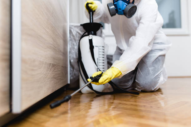 Best Cockroach Control Services  in Ashaway, RI