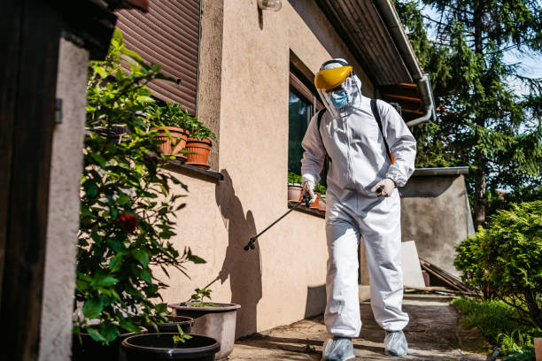 Best Residential Pest Control  in Ashaway, RI