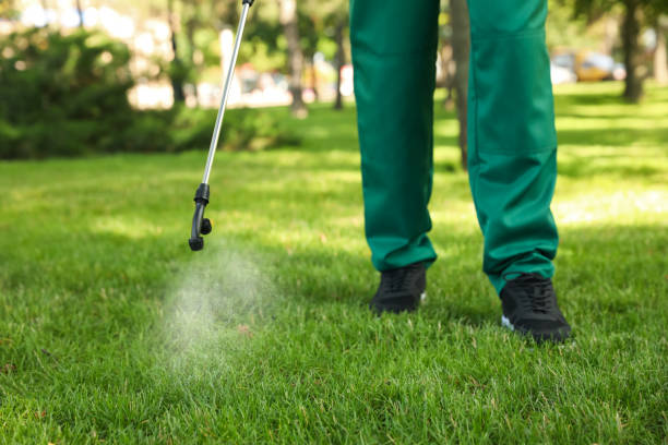 Best Termite Control Services  in Ashaway, RI