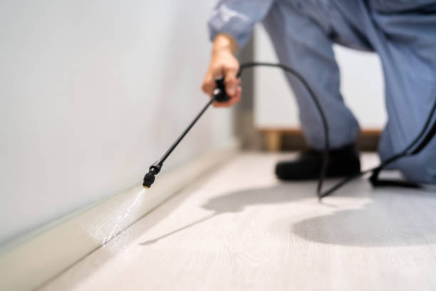 Best Best Pest Control Companies  in Ashaway, RI
