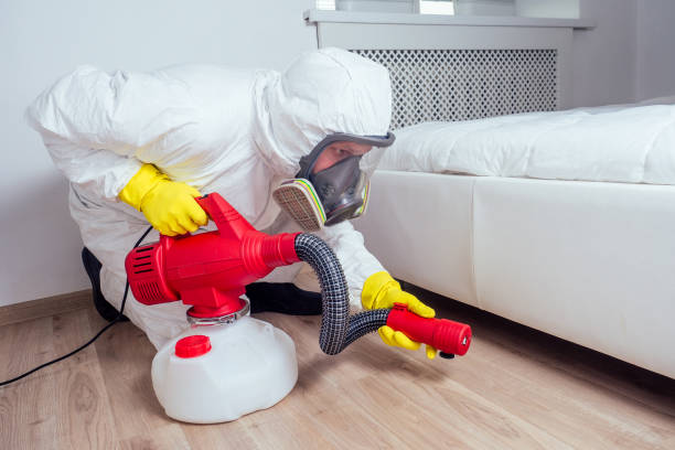 Best Best Pest Control Near Me  in Ashaway, RI