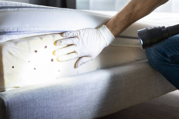 Best Affordable Pest Control Services  in Ashaway, RI