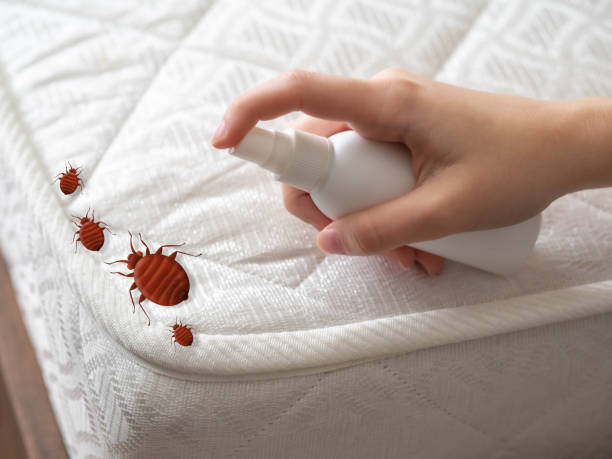Best Bed Bug Extermination  in Ashaway, RI
