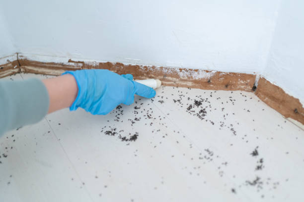 Best Pest Prevention Services  in Ashaway, RI
