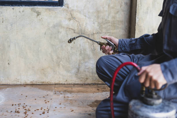 Best Mosquito Control Services  in Ashaway, RI